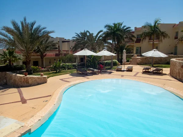 Palmiye Ağaçları Çiçekler Yüzme Havuzu Olan Mısır Otelinin Güzel Manzarası — Stok fotoğraf