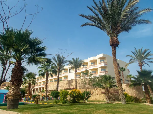 Belle Vue Sur Hôtel Égyptien Avec Palmiers Fleurs Piscine — Photo