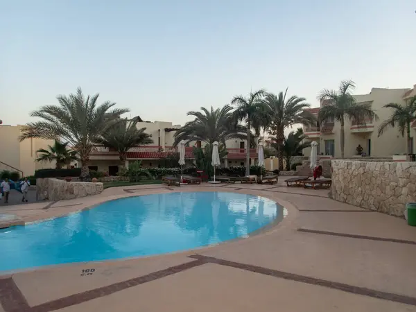 Красивый Вид Египетский Отель Пальмами Цветами Бассейном — стоковое фото