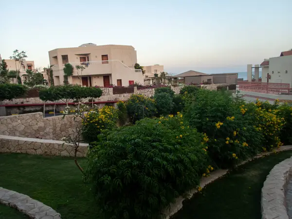 Palmiye Ağaçları Çiçekler Yüzme Havuzu Olan Mısır Otelinin Güzel Manzarası — Stok fotoğraf