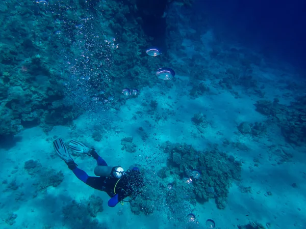 潜水者在红海的珊瑚礁中游泳 — 图库照片