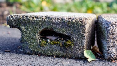 Harkov avlusundaki bir kapağın etrafında beton bloklar var.