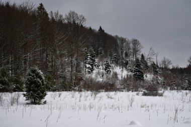 Ukrayna Karpatlarının yolu karla kaplı.