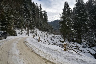 Ukrayna Karpatlarının nehir kenarındaki dağ köyü, kış manzarası