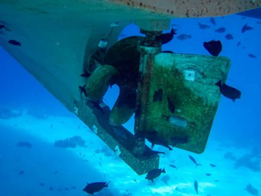 Tekne pervaneleri kaplamanın altında ve suyun altında. Tekne pervanelerinde bir sürü balık var..