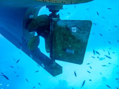 Tekne pervaneleri kaplamanın altında ve suyun altında. Tekne pervanelerinde bir sürü balık var..