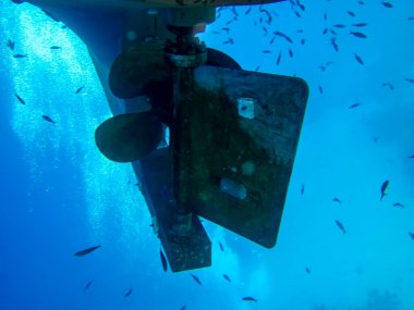 Tekne pervaneleri kaplamanın altında ve suyun altında. Tekne pervanelerinde bir sürü balık var..