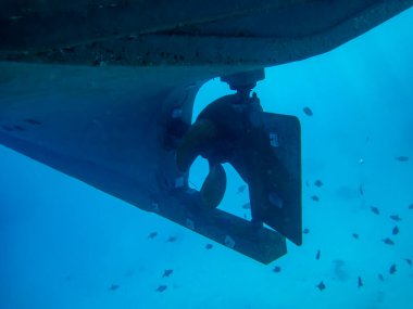 Tekne pervaneleri kaplamanın altında ve suyun altında. Tekne pervanelerinde bir sürü balık var..