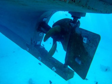 Tekne pervaneleri kaplamanın altında ve suyun altında. Tekne pervanelerinde bir sürü balık var..