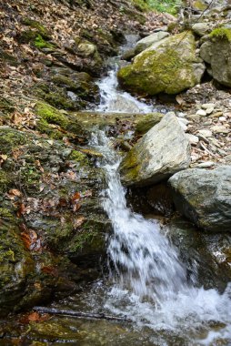 Ukrayna Karpatlarının dağlarında küçük bir şelale