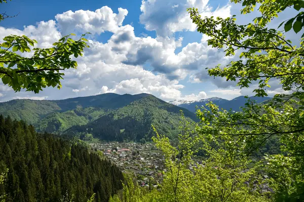 Karpat Dağları 'ndaki küçük Ukrayna köyü