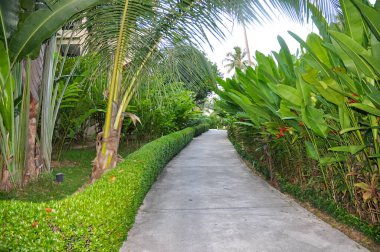 Tayland 'daki Phuket Adası' nda güzel bir otel alanı.