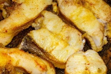 Taze pişmiş nehir balığı. Kızarmış turna balığı..