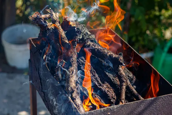 Izgarada shashlik pişirmek için bir ateş yanıyor.