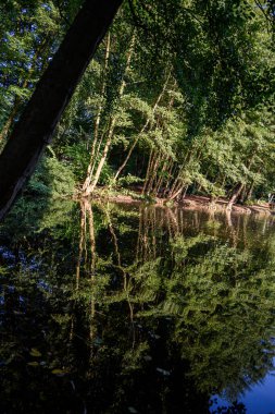 Almanya 'da bir parkta göl
