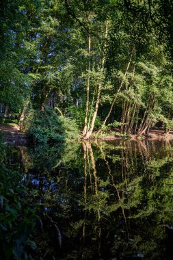 Almanya 'da bir parkta göl