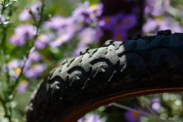 stock image Bicycle wheel surrounded by blooming asters