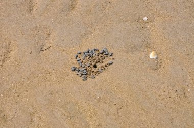 Phuket adasında okyanus kıyısı