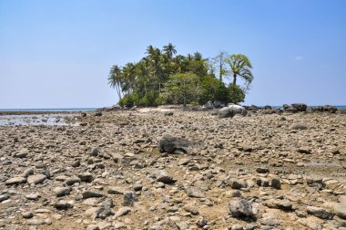 Phuket adasında okyanus kıyısı