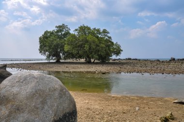 Phuket adasında okyanus kıyısı