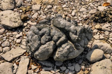 Phuket adasında okyanus kıyısı