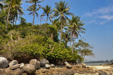 Phuket adasında okyanus kıyısı