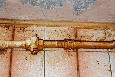 Apartman temizliği. Yağ ve kirden fayanslar yıkıyorum..