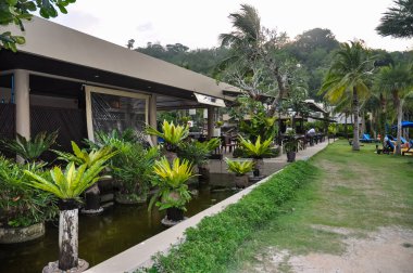 Tayland 'daki otelin bölgesinde çarpıcı bir doğa.