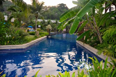 Tayland 'daki otelin bölgesinde çarpıcı bir doğa.