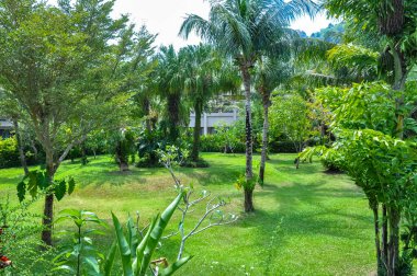 Tayland 'daki otelin bölgesinde çarpıcı bir doğa.