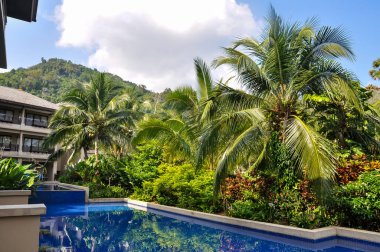 Tayland 'daki otelin bölgesinde çarpıcı bir doğa.