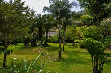 Tayland 'daki otelin bölgesinde çarpıcı bir doğa.