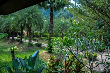 Tayland 'daki otelin bölgesinde çarpıcı bir doğa.