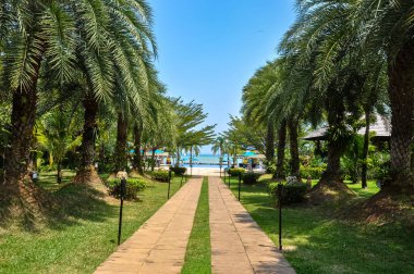Tayland 'daki otelin bölgesinde çarpıcı bir doğa.