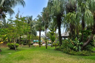 Tayland 'daki otelin bölgesinde çarpıcı bir doğa.