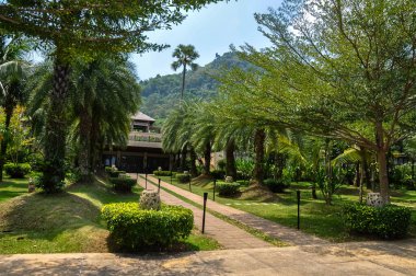 Tayland 'daki otelin bölgesinde çarpıcı bir doğa.