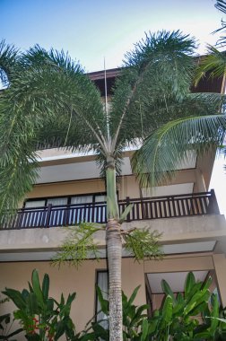 Tayland 'daki otelin bölgesinde çarpıcı bir doğa.