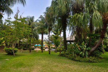 Tayland 'daki otelin bölgesinde çarpıcı bir doğa.