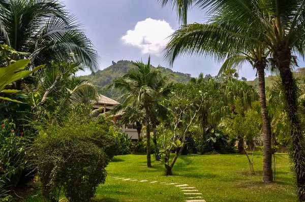 Tayland 'daki otelin bölgesinde çarpıcı bir doğa.