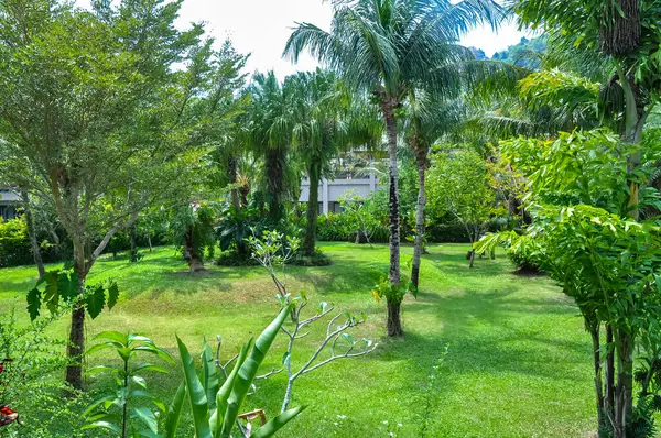 Tayland 'daki otelin bölgesinde çarpıcı bir doğa.