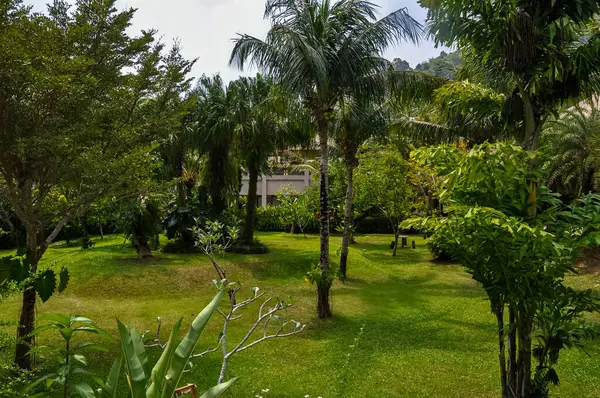 Tayland 'daki otelin bölgesinde çarpıcı bir doğa.