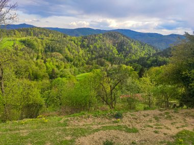 Avrupa, Avusturya 'nın dağlık kesimlerinde güzel doğa