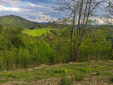 Avrupa, Avusturya 'nın dağlık kesimlerinde güzel doğa