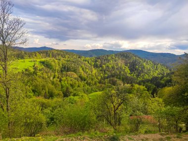 Avrupa, Avusturya 'nın dağlık kesimlerinde güzel doğa