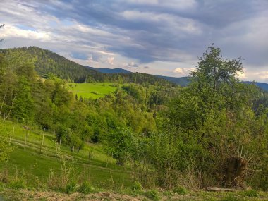 Avrupa, Avusturya 'nın dağlık kesimlerinde güzel doğa
