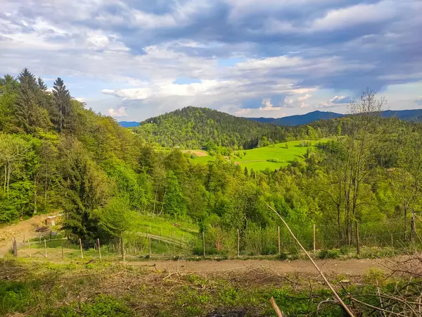 Avrupa, Avusturya 'nın dağlık kesimlerinde güzel doğa