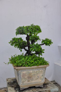 Phuket 'teki olağanüstü güzel Chalong Tapınağı