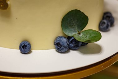 Çikolata kaplı pasta, yaban mersini ve yeşil yapraklı makro şenlikli tatlı fotoğrafı.