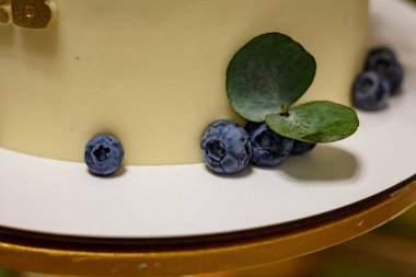 Çikolata kaplı pasta, yaban mersini ve yeşil yapraklı makro şenlikli tatlı fotoğrafı.