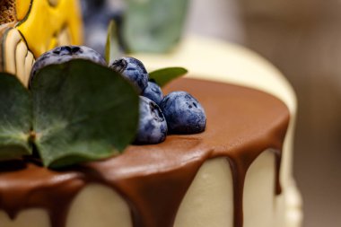 Çikolata kaplı pasta, yaban mersini ve yeşil yapraklı makro şenlikli tatlı fotoğrafı.